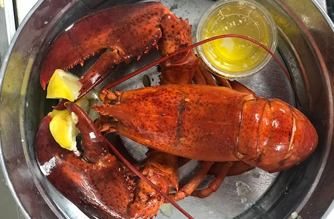 Daily catch at Tipsy Tuna